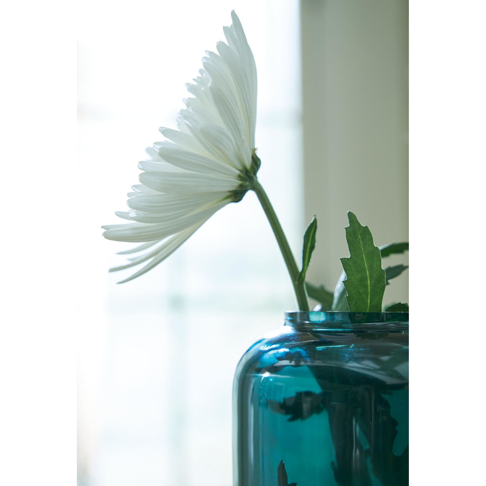 Vase Inisland