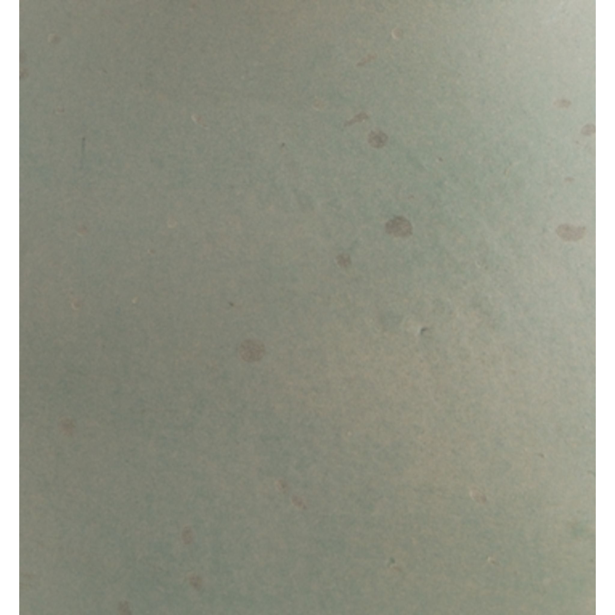 Vase Baychester